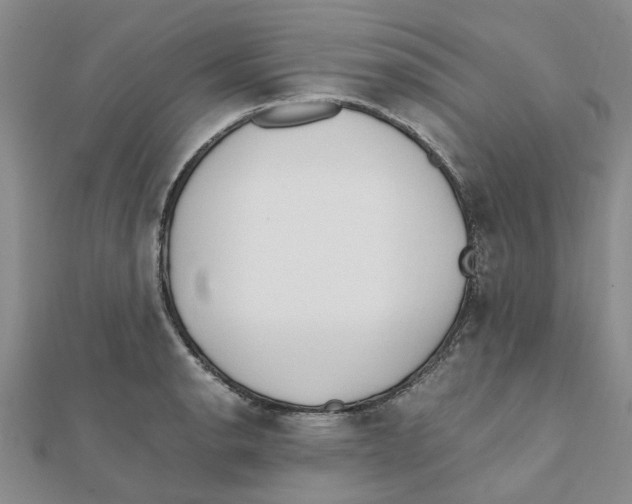 X0000111501134200908111240