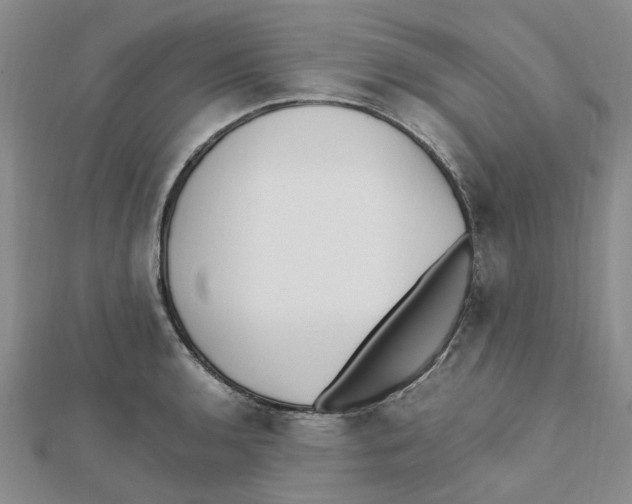 X0000111501136200908111240