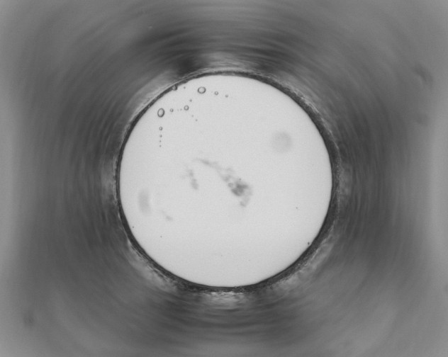 X0000111501137200908111240