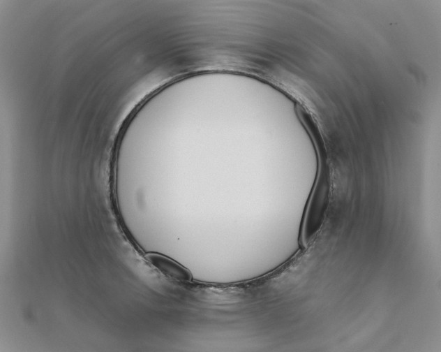 X0000111501138200908111240