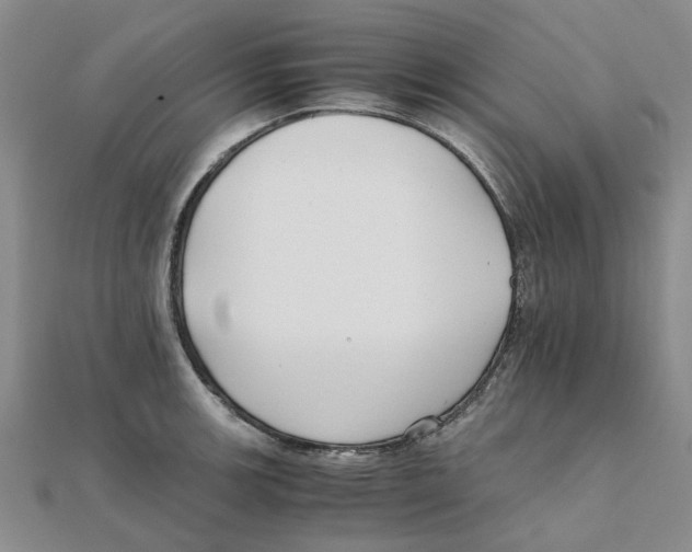 X0000111501139200908111240