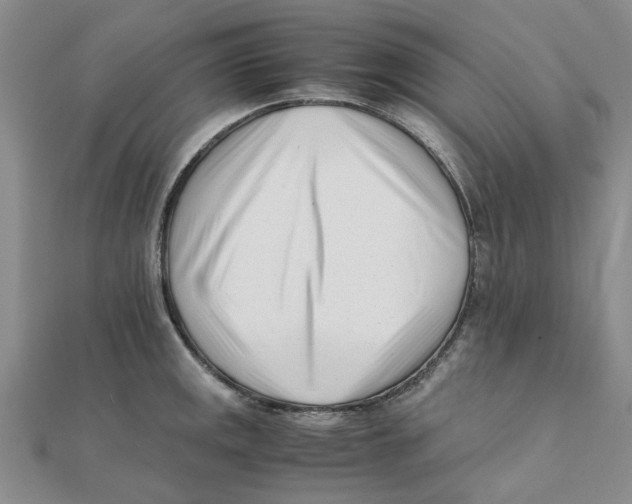 X0000111501141200908111241