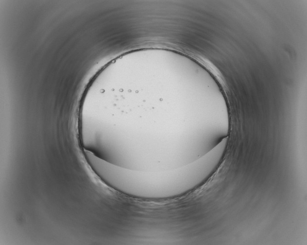 X0000111501144200908111241