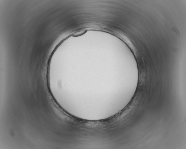 X0000111501146200908111241