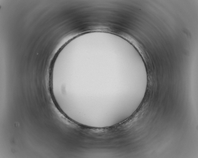 X0000111501147200908111241