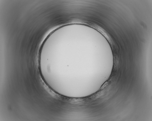 X0000111501148200908111241