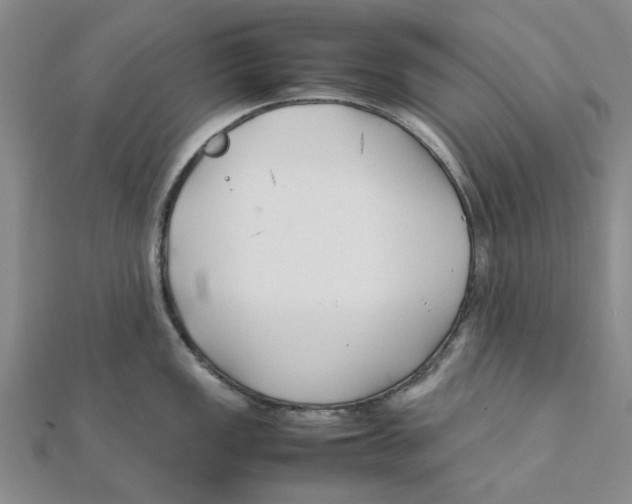 X0000111501149200908111241