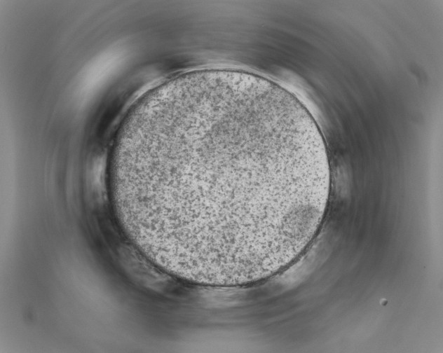 X0000111501150200908111241