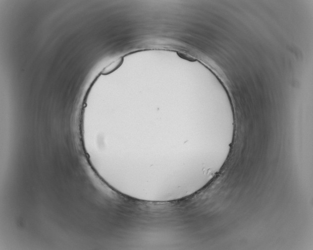 X0000111501152200908111241