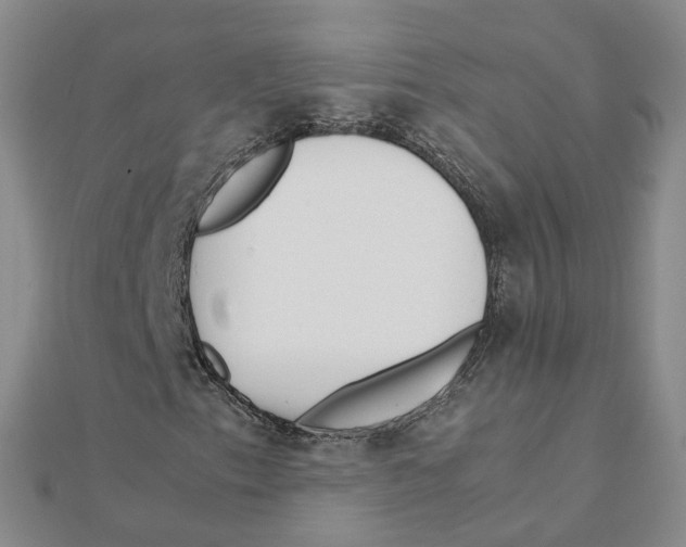 X0000111501153200908111240