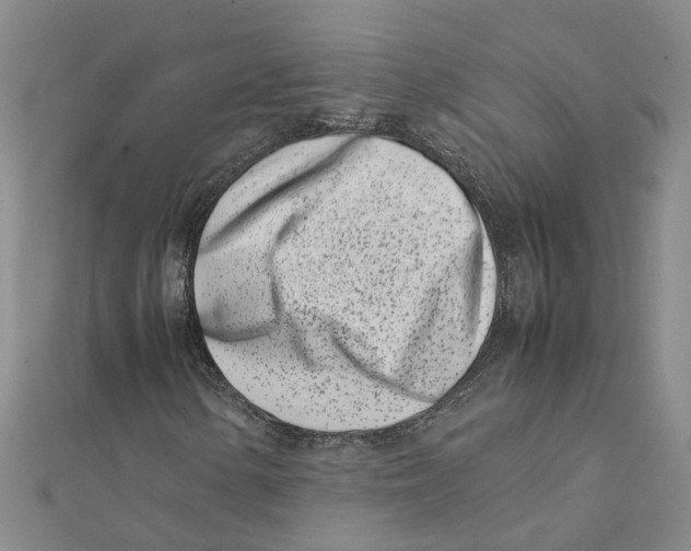 X0000111501154200908111240