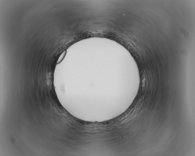 X0000111501156200908111240