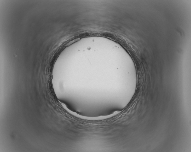 X0000111501157200908111240