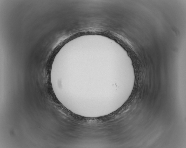 X0000111501160200908111240