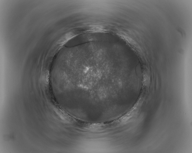 X0000111501161200908111240