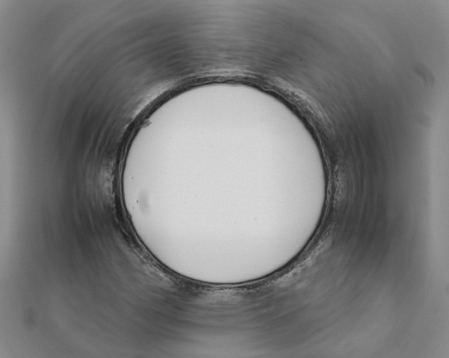 X0000111501162200908111240