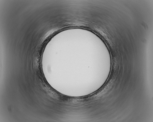 X0000111501163200908111240