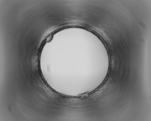 X0000111501164200908111240