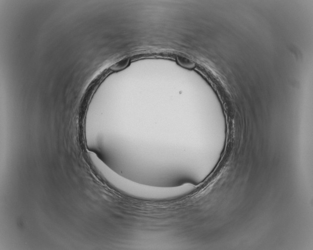 X0000111501165200908111240