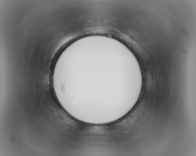 X0000111501166200908111240