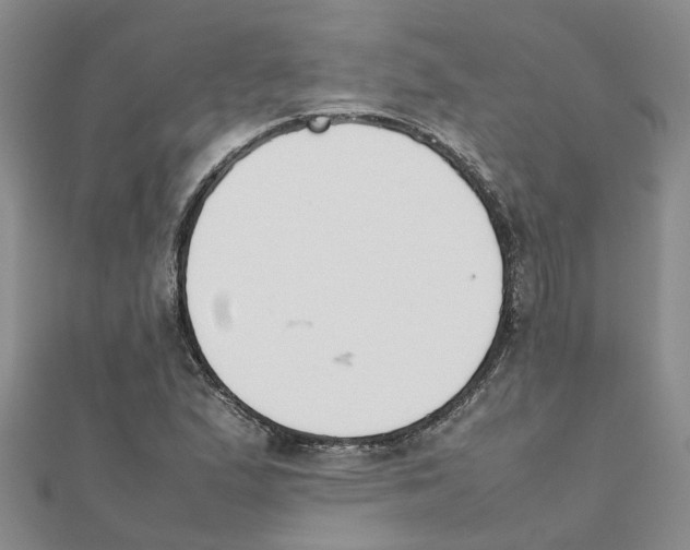 X0000111501167200908111240