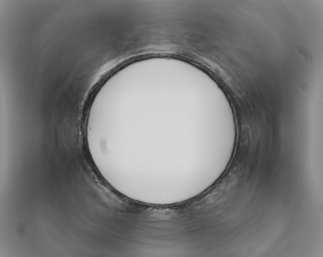 X0000111501168200908111240