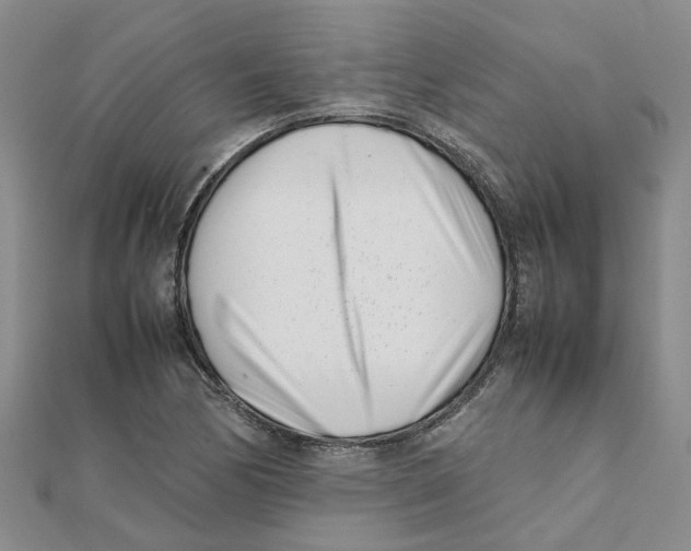 X0000111501170200908111240