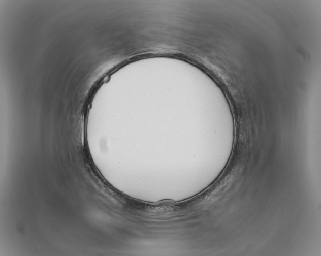 X0000111501171200908111240