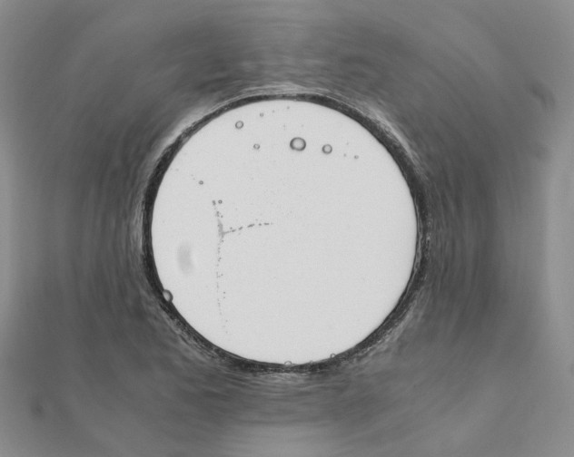 X0000111501173200908111240