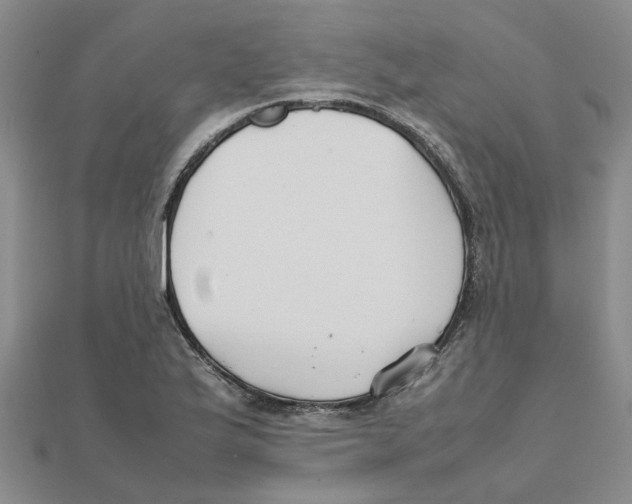 X0000111501175200908111240