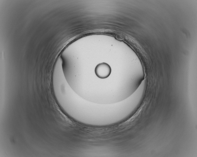 X0000111501177200908111240