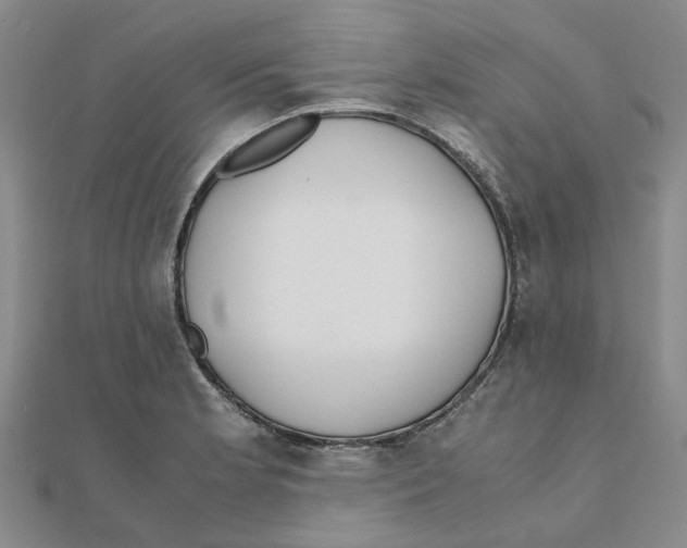 X0000111501181200908111240