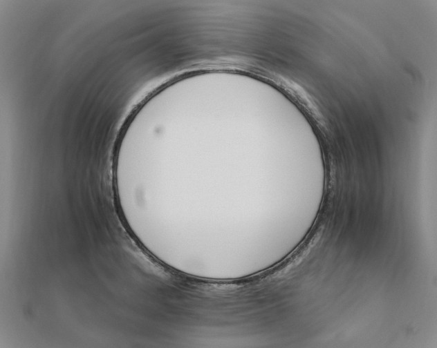 X0000111501184200908111239