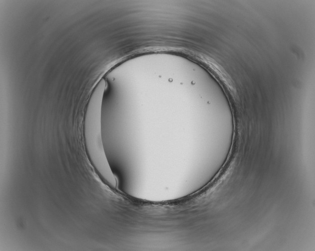 X0000111501185200908111239