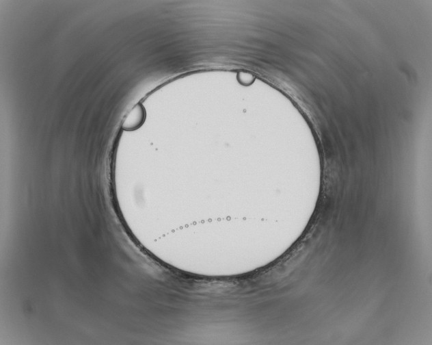 X0000111501187200908111239