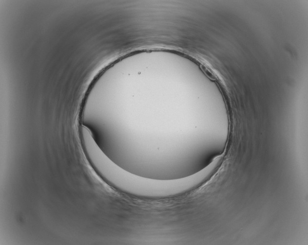 X0000111501189200908111239