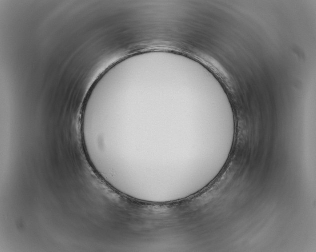 X0000111501190200908111239