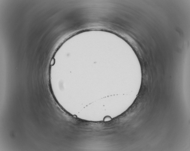 X0000111501191200908111239