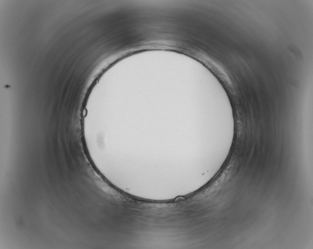 X0000111501192200908111239