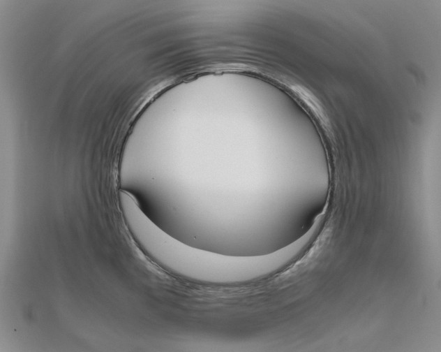 X0000111501193200908111239