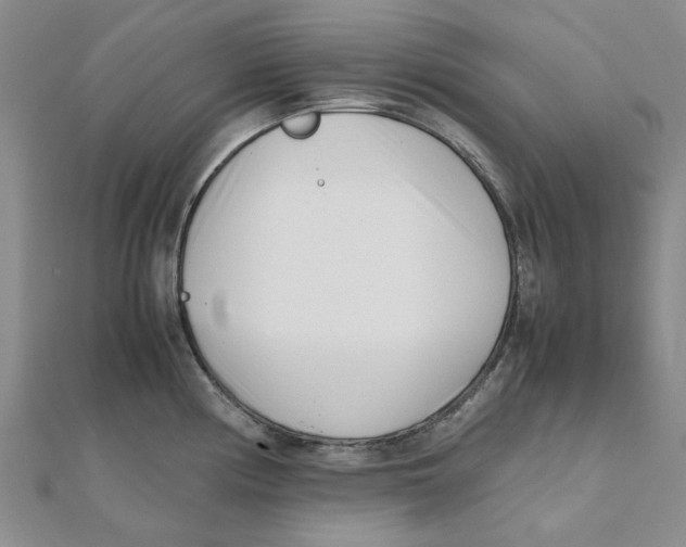 X0000111501194200908111239