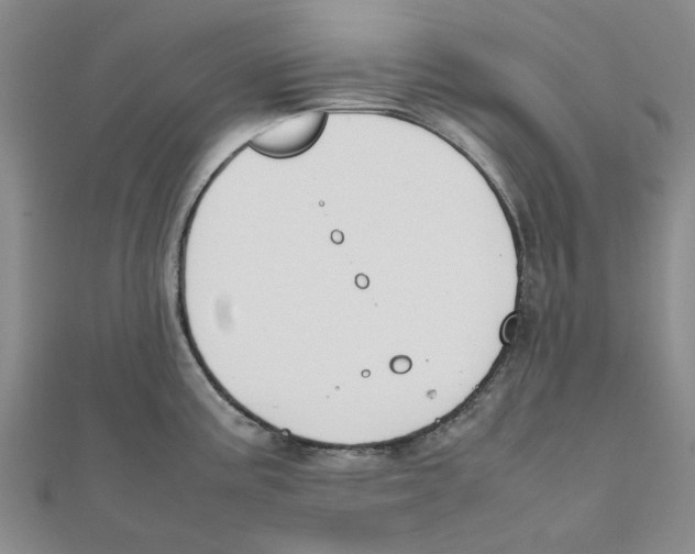 X0000111501195200908111239