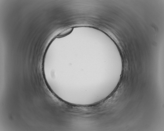 X0000111501197200908111239