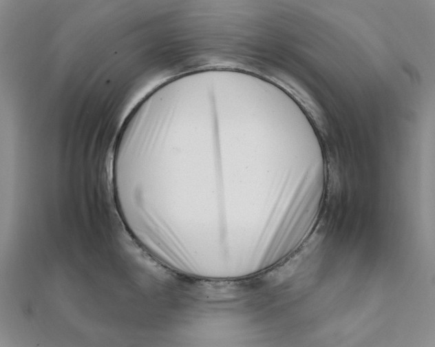 X0000111501198200908111239