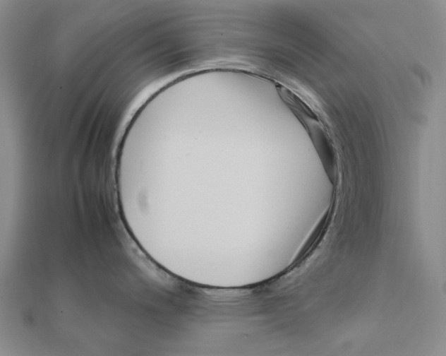 X0000111501200200908111239