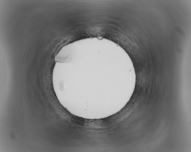 X0000111501201200908111238