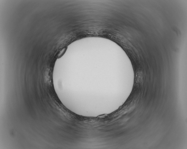 X0000111501202200908111239