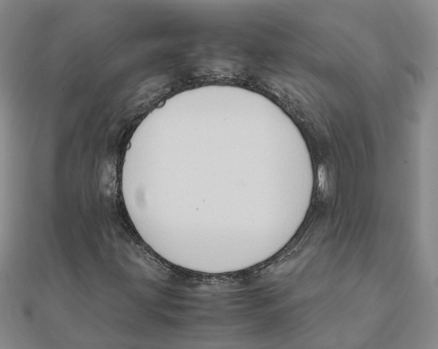 X0000111501203200908111239