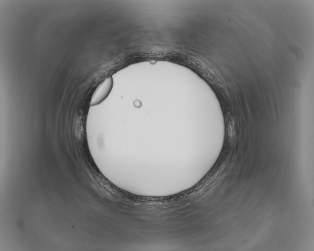 X0000111501204200908111239