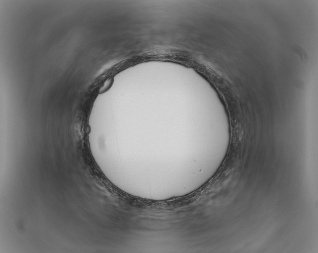 X0000111501206200908111239